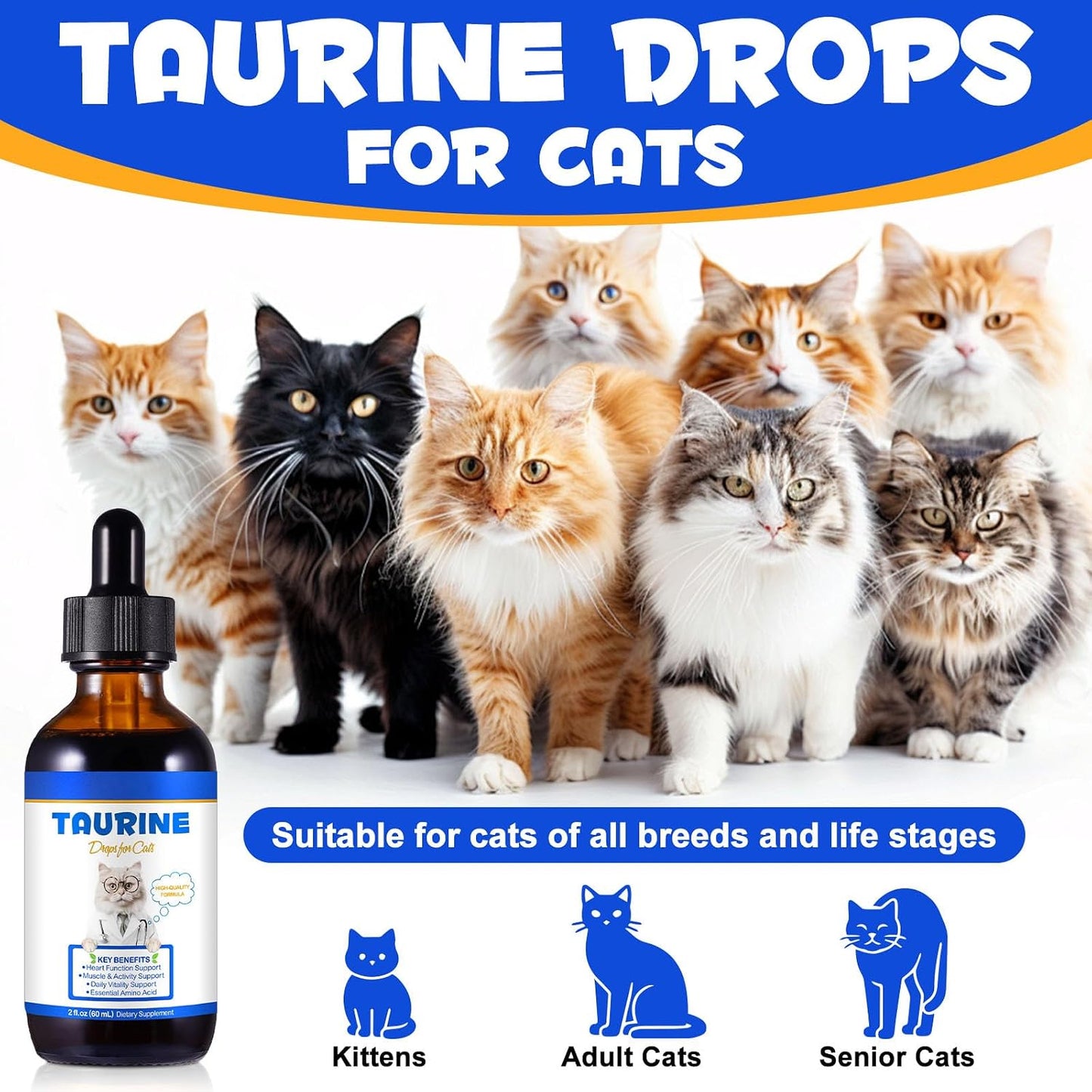 Fangcun imported USA feline health supplement bottle close up
