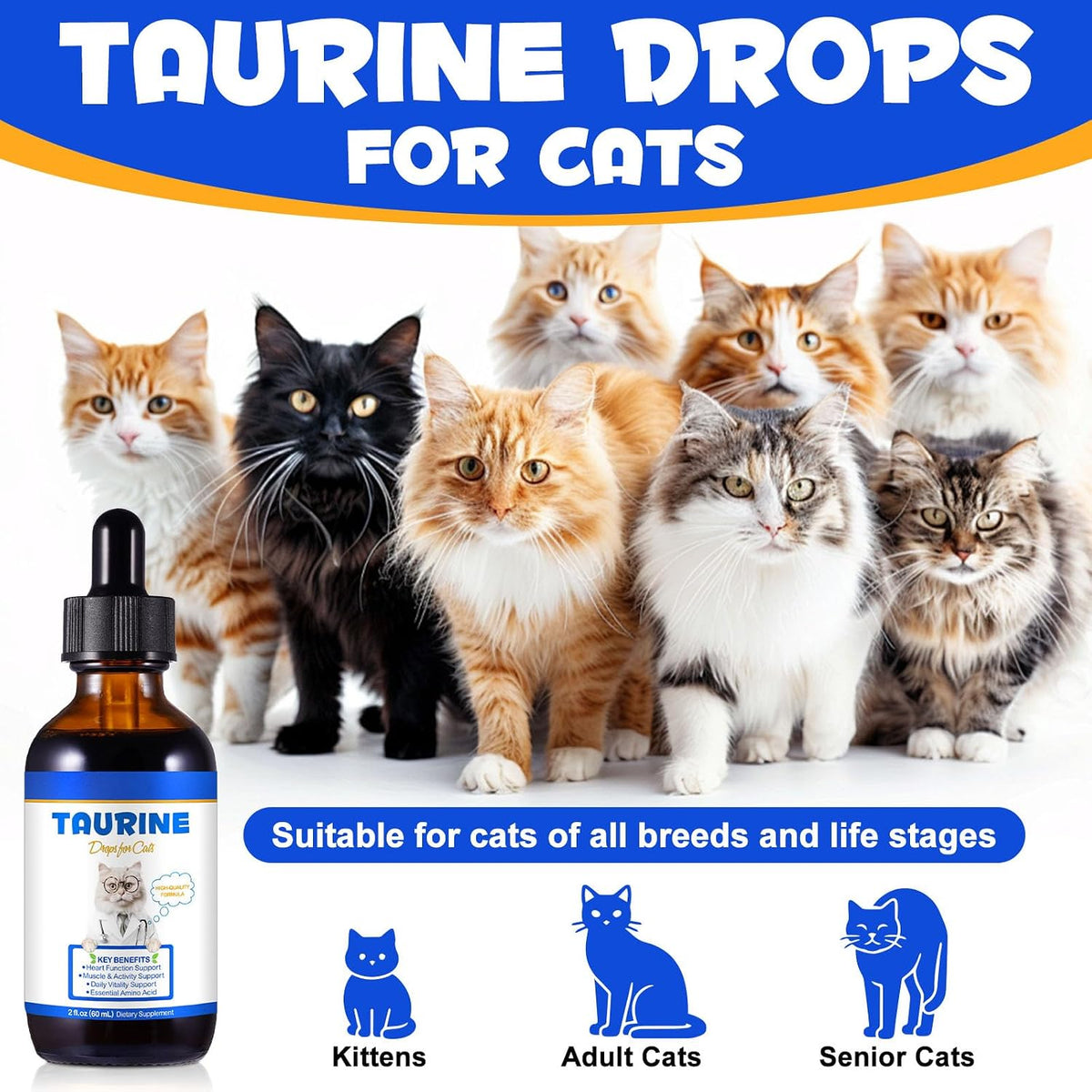 Fangcun imported USA feline health supplement bottle close up