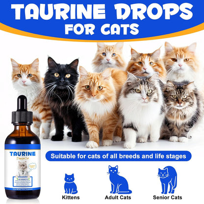 Fangcun imported USA feline health supplement bottle close up