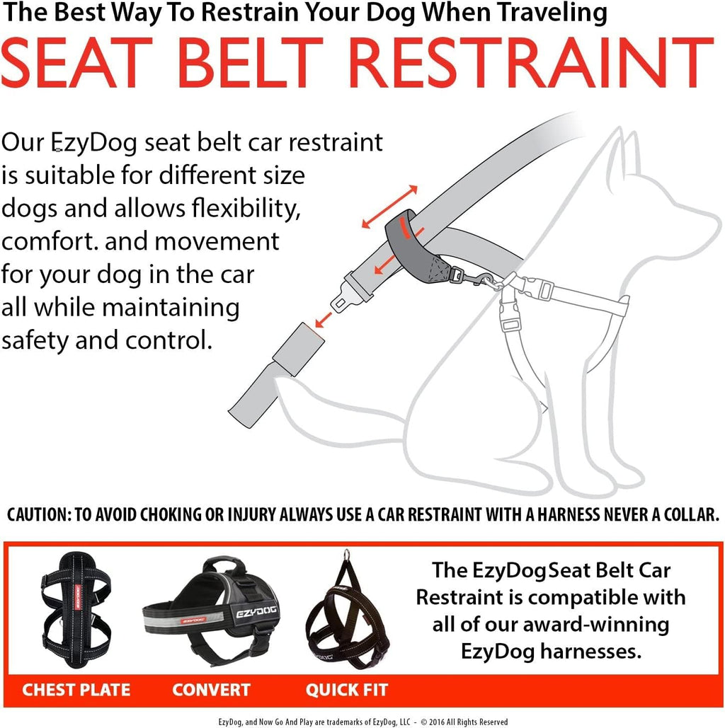 EzyDog pet seat belt attachment showing nylon webbing detail