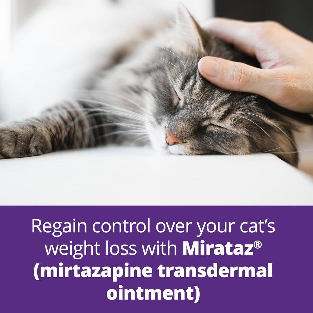 Mirataz cat weight management ointment packaging