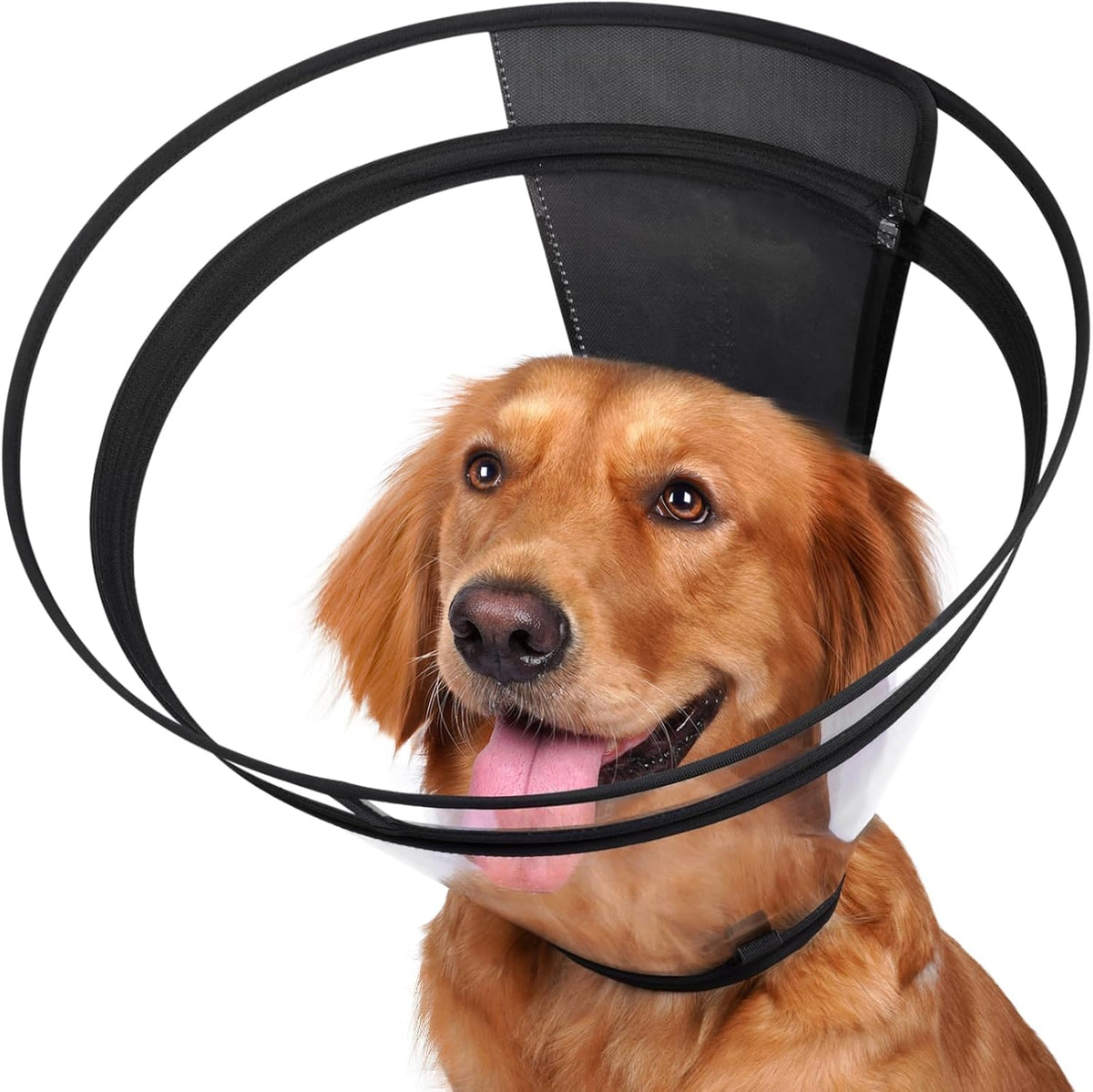 Didopet transparent dog cone recovery collar front view premium post surgery pet care