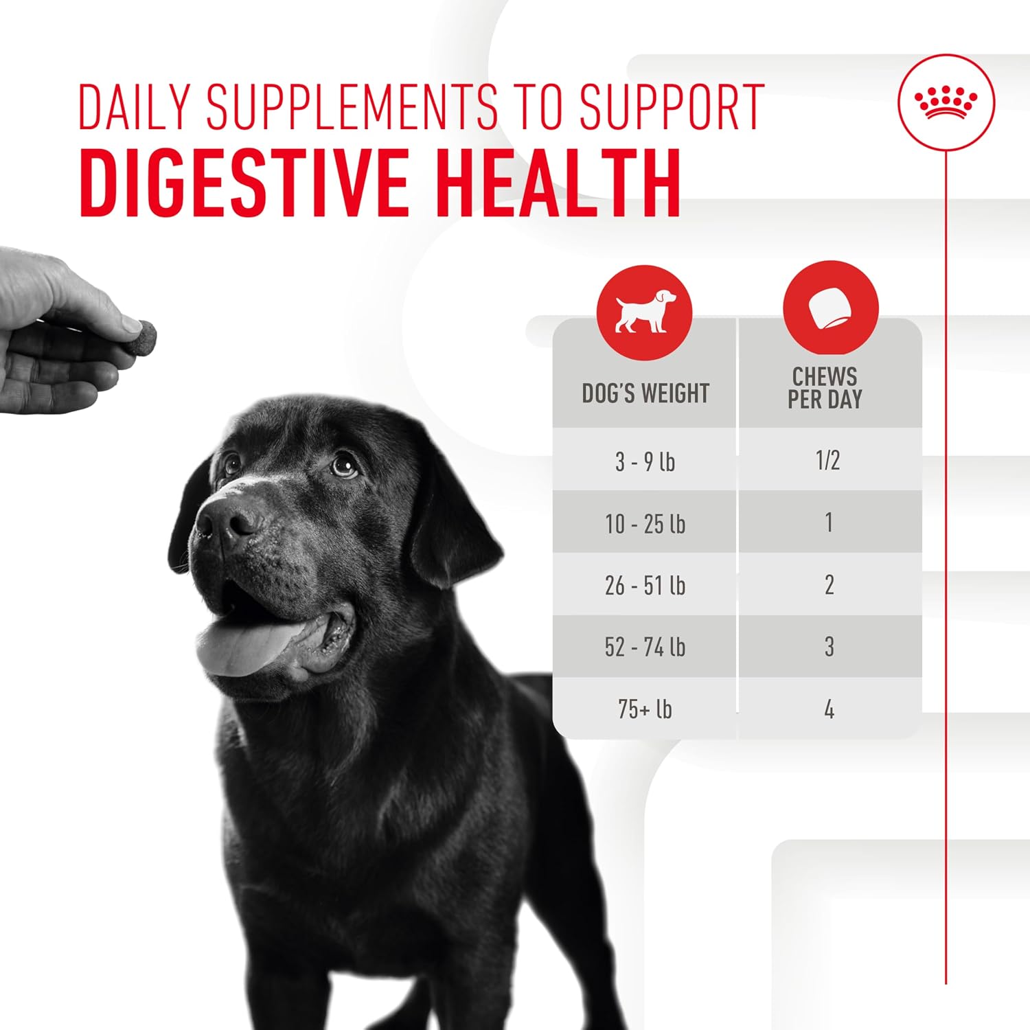 Royal Canin digestive care supplement feeding guide