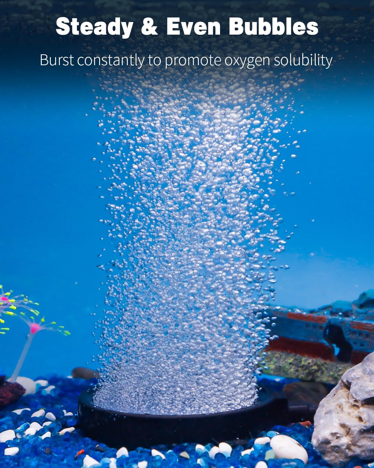 Pawfly 4-inch bubble diffuser showing side suction cups