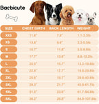 Cat wearing comfortable lightweight pet vest