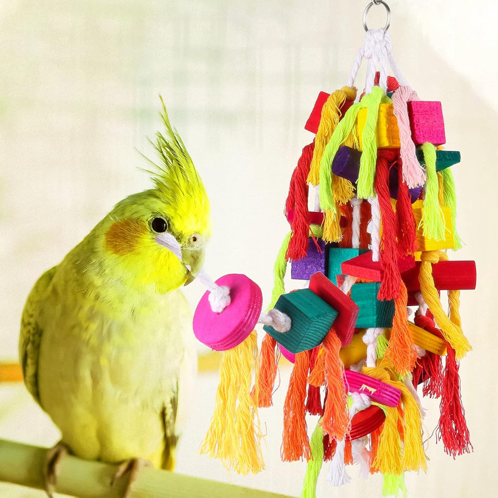 Rypet large parrot toy packaged for authentic USA import