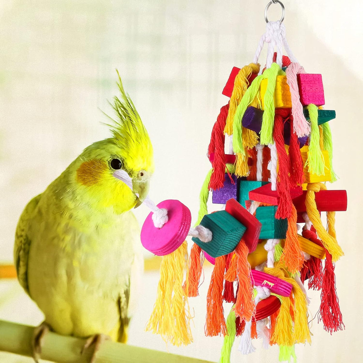 Rypet large parrot toy packaged for authentic USA import