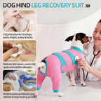 Side profile of dog wearing Lelepet recovery suit