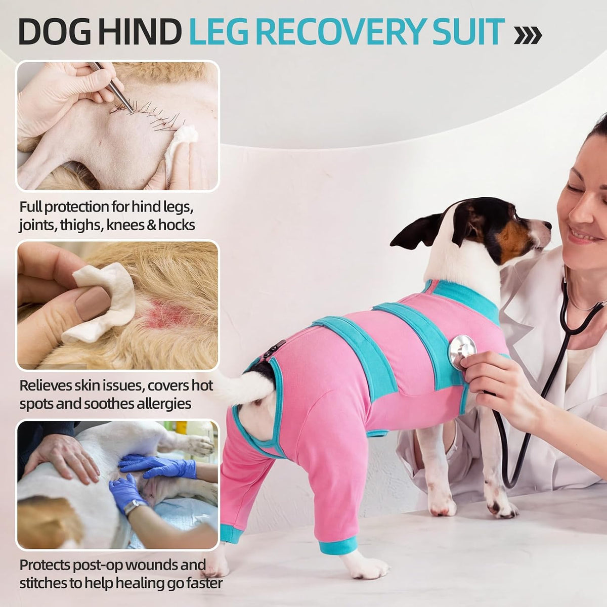 Side profile of dog wearing Lelepet recovery suit