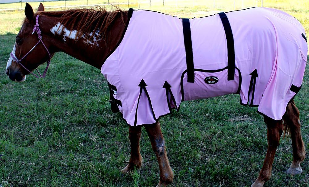 74" Horse Mesh Summer Sheet Spring Airflow 73401 - Image 12