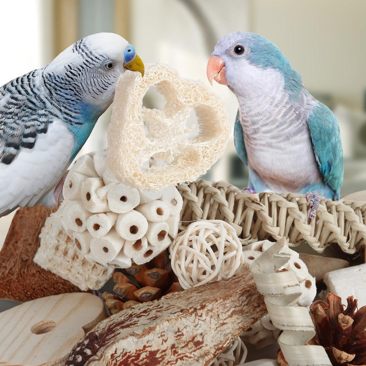 Safe shredding toys for small to medium pet birds