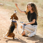 Premium imported blue plastic dog training collar for medium and large breeds