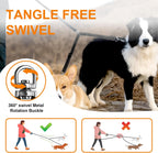 Adjustable length buckles on shock absorbing double dog coupler