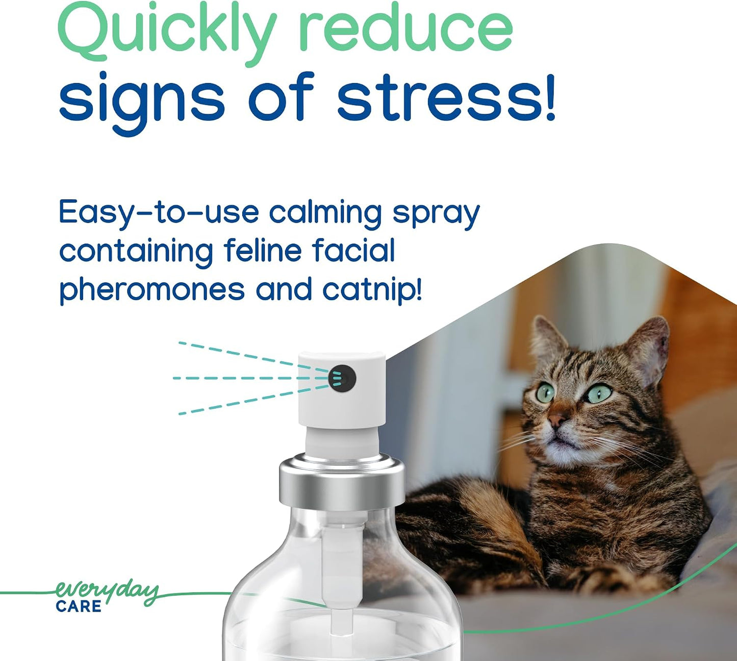 Virbac Zenifel kitten stress management spray premium pet care packaging