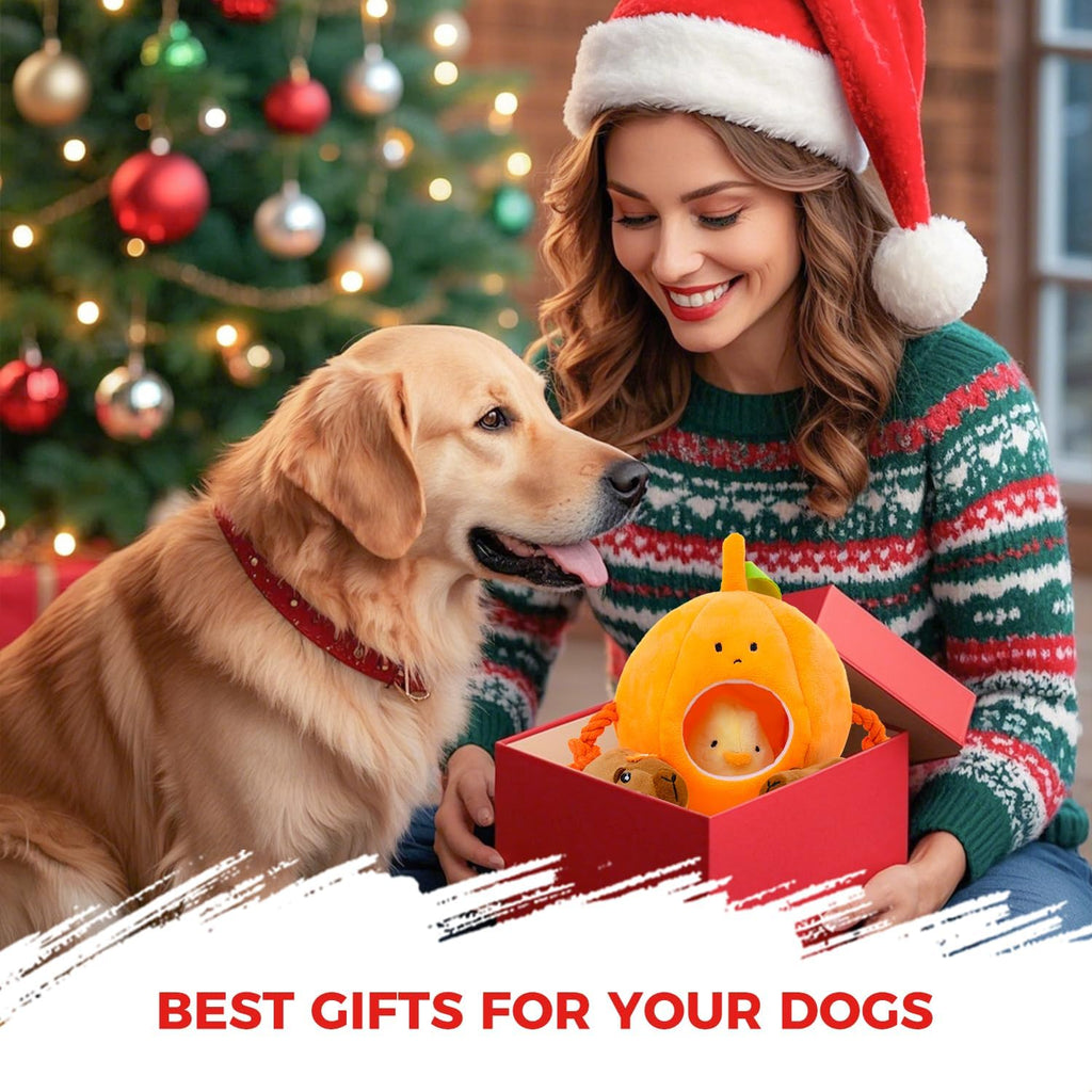 MewaJump puppy and cat toy set showcasing the compact size perfectly tailored for small pet jaws.