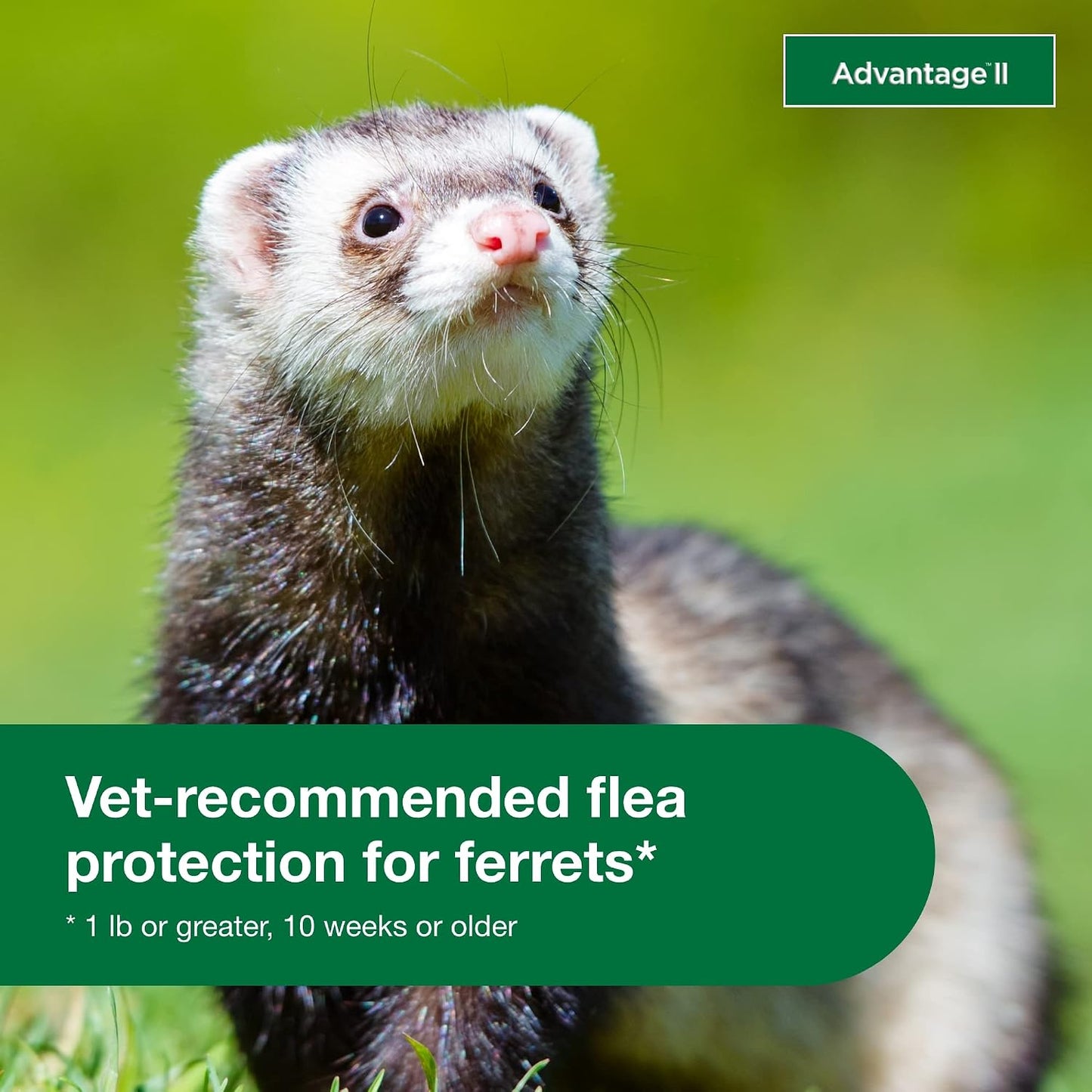 Elanco Advantage flea larvae and egg killer for ferrets