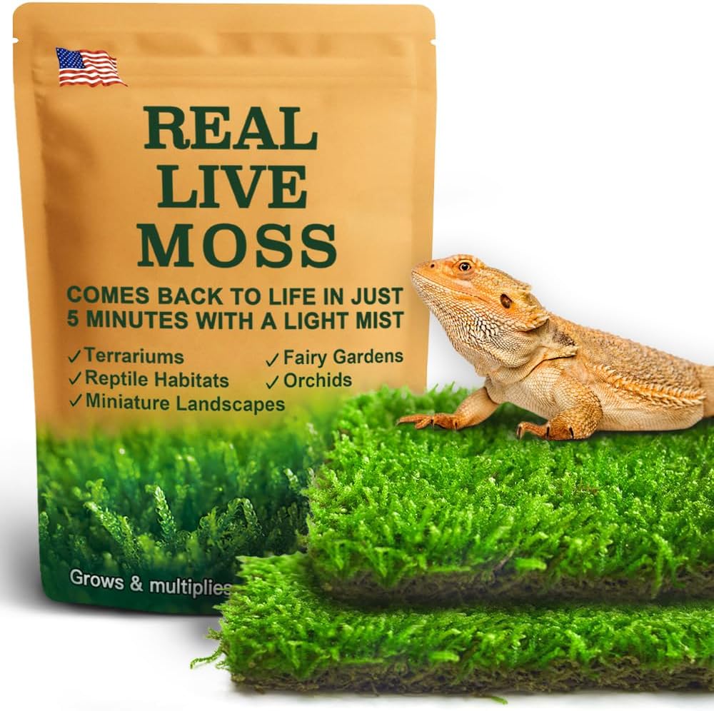 LUCKYRUNES live moss for reptiles front view