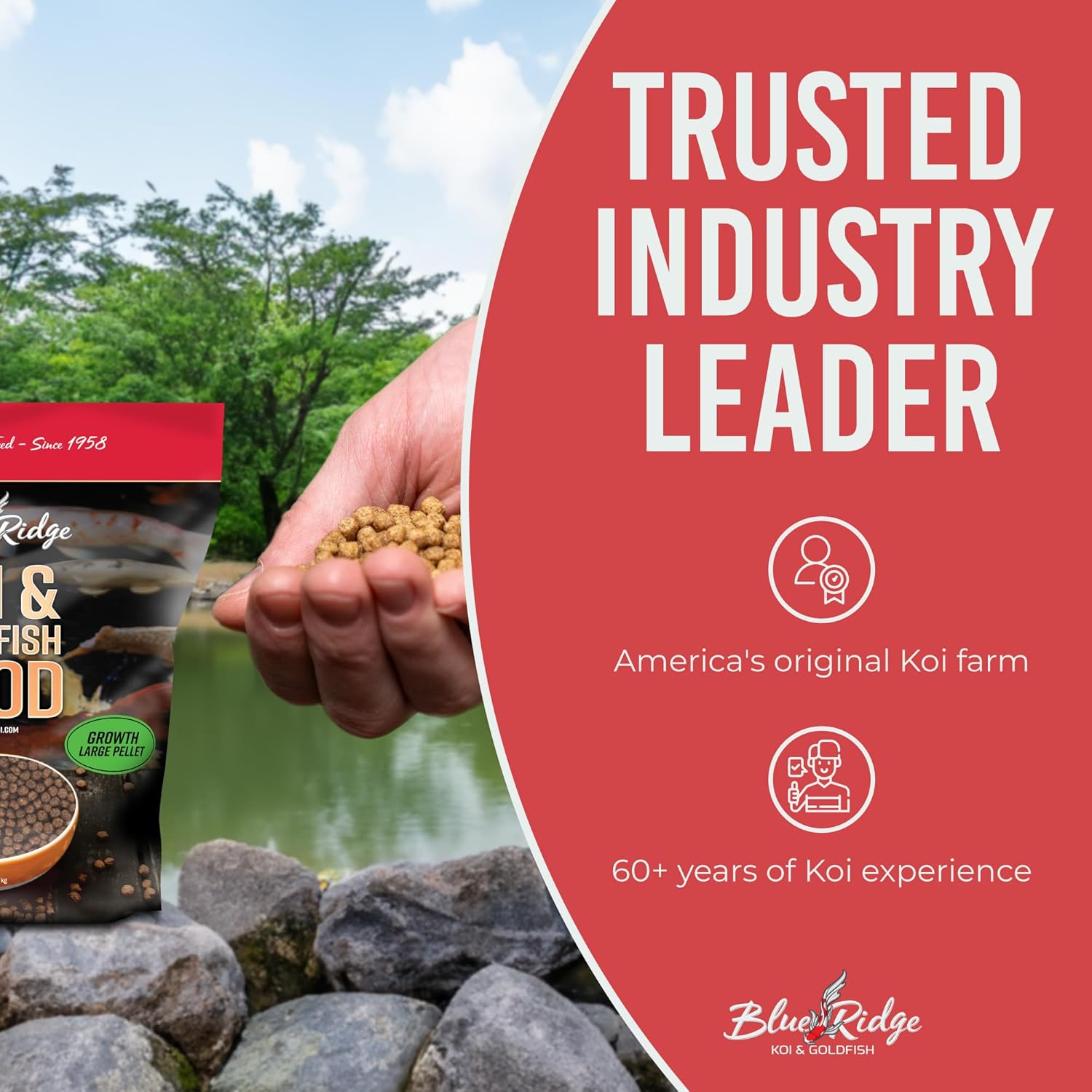 Textured view of premium floating koi and goldfish pellets