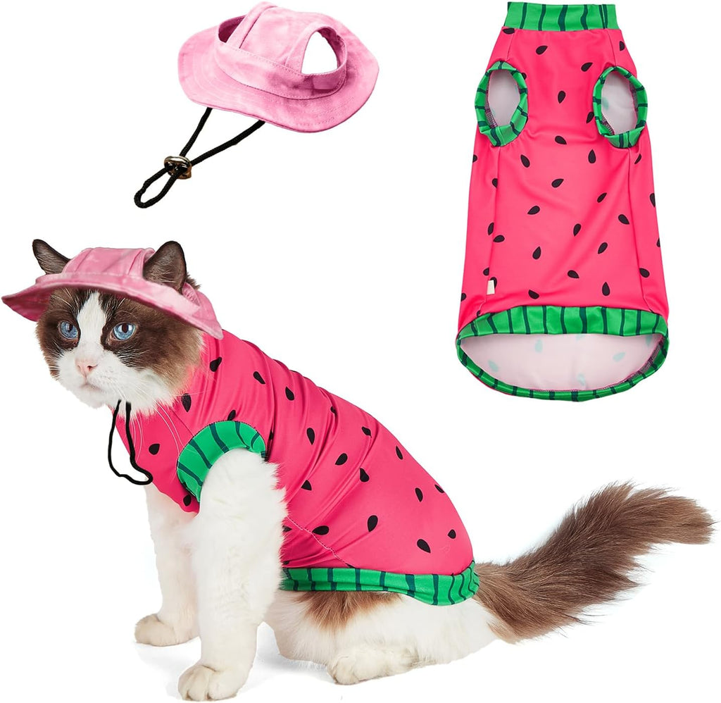 Back view of Sphynx cat wearing watermelon summer shirt