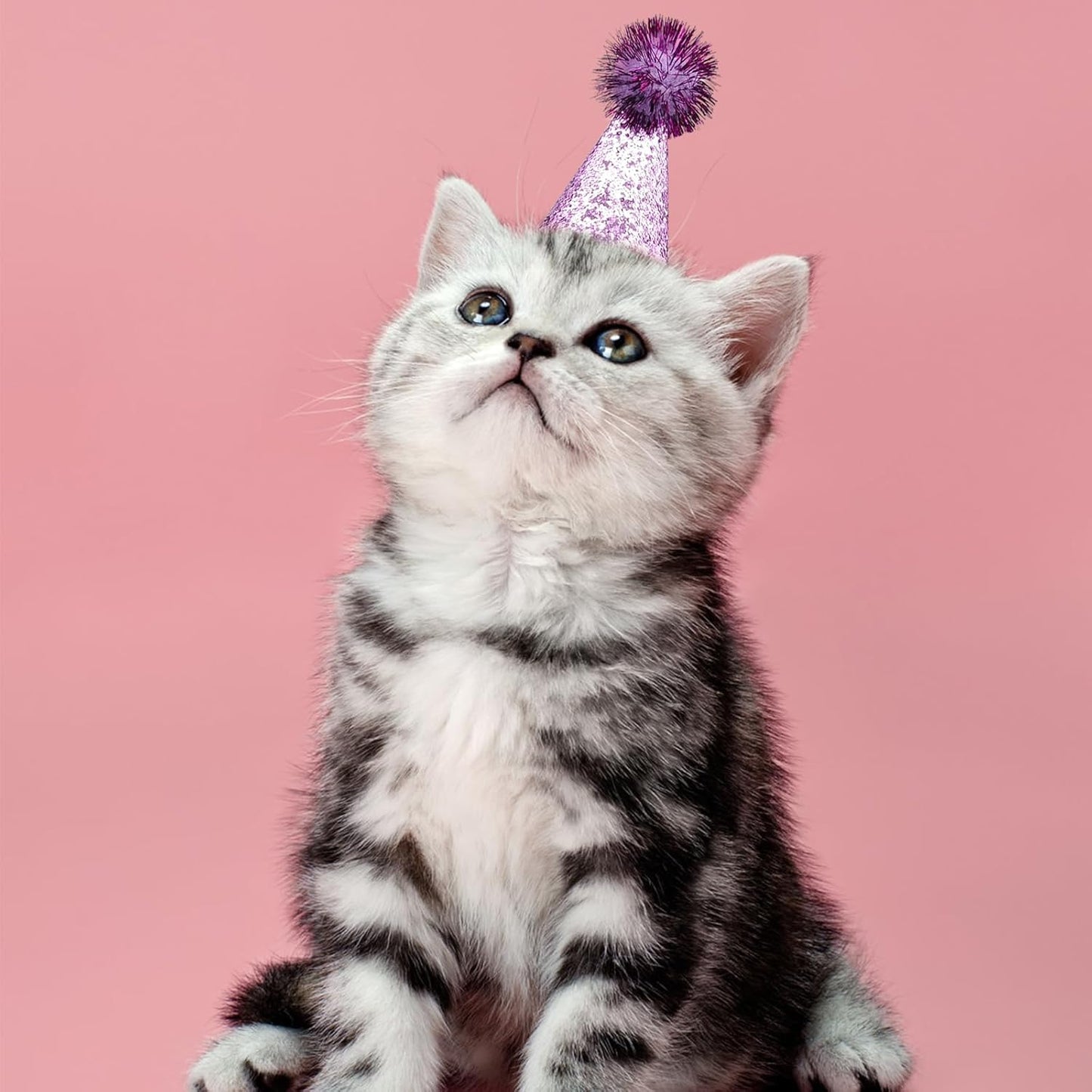 Close up of sequin texture on Pet Show mini pet hat