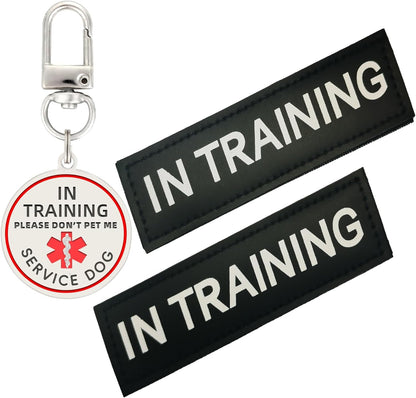 Removable hook and loop service dog labeling kit showing two medium identification pieces.