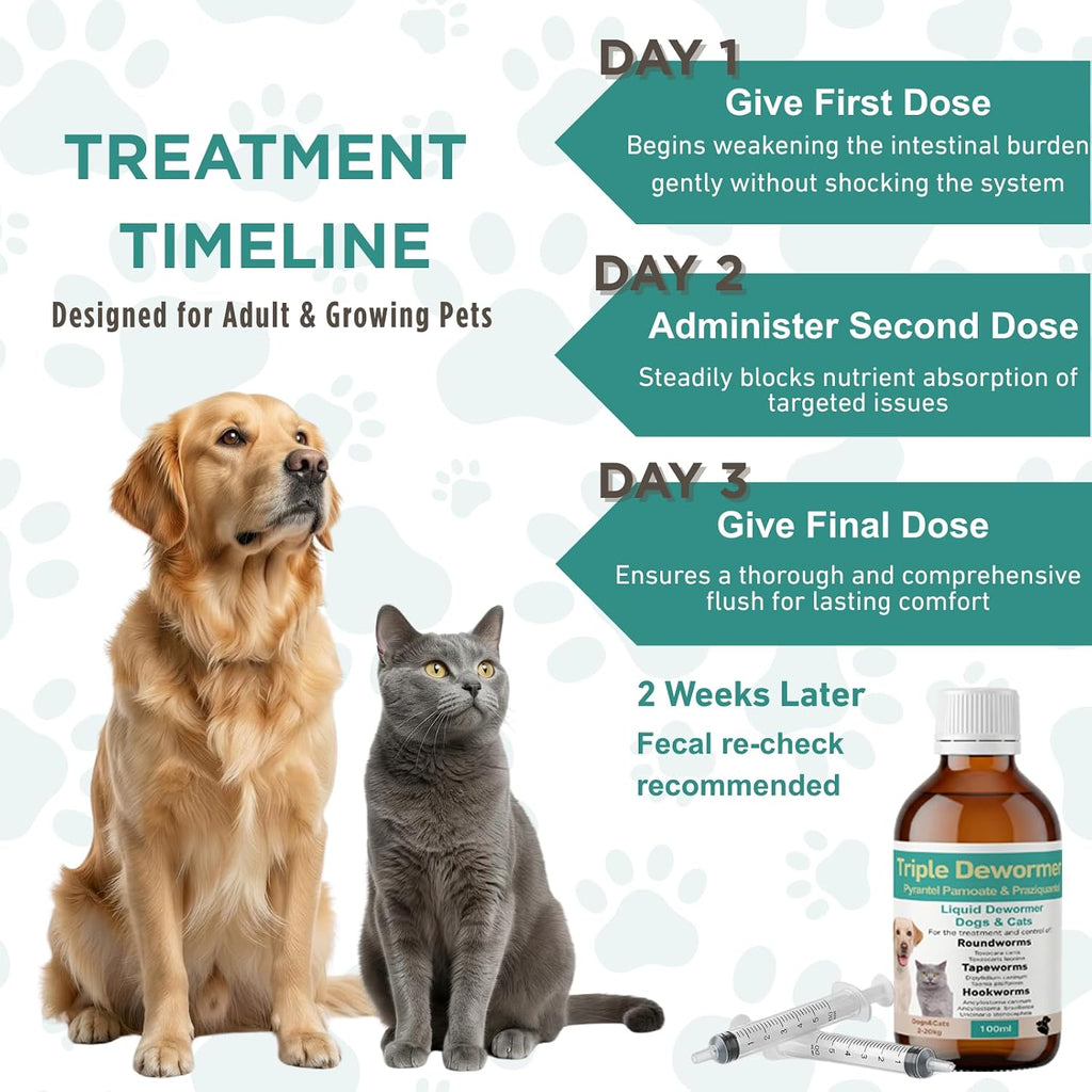 Authentic Petcci liquid treatment targeting tapeworm roundworm and hookworm in cats