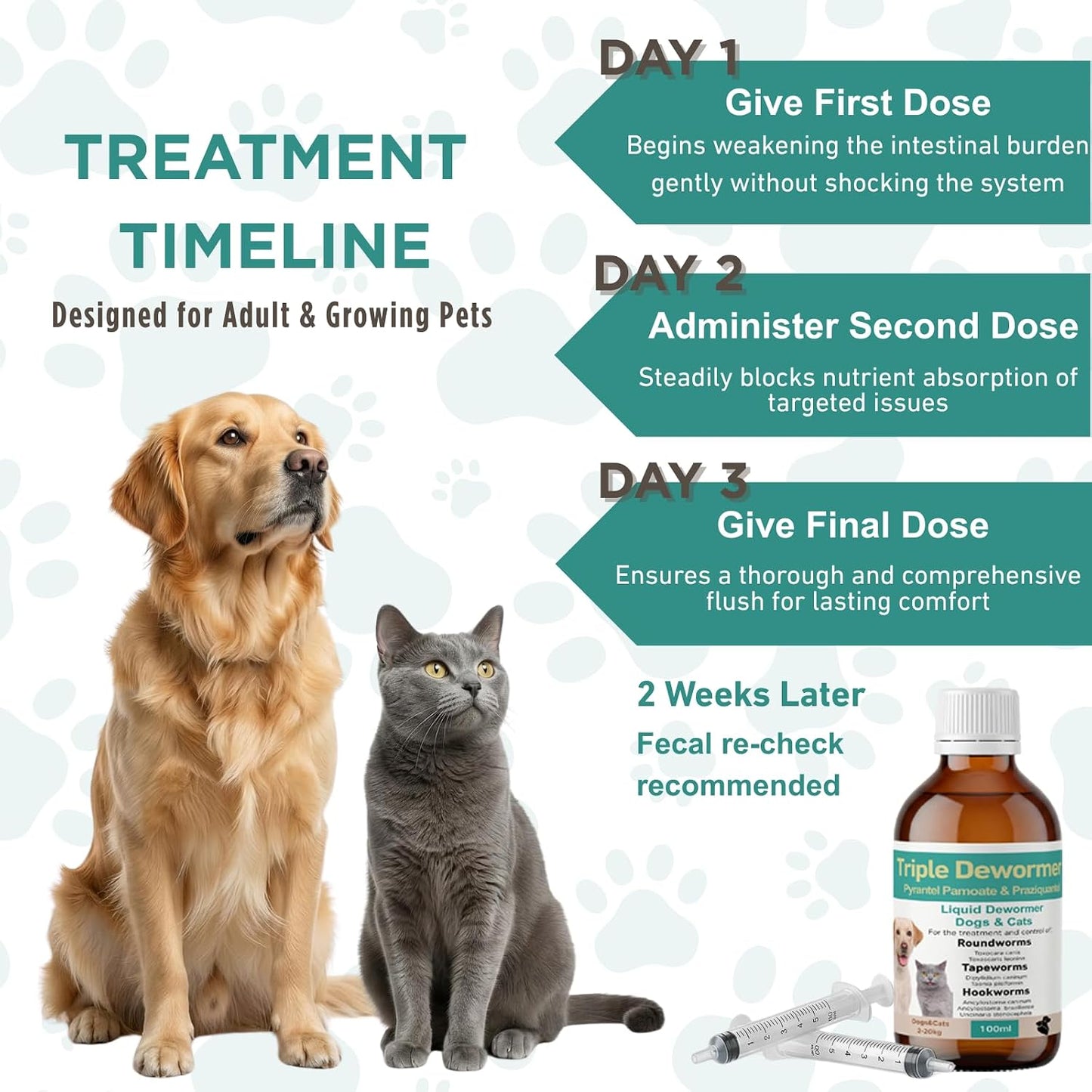 Authentic Petcci liquid treatment targeting tapeworm roundworm and hookworm in cats