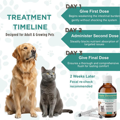 Authentic Petcci liquid treatment targeting tapeworm roundworm and hookworm in cats
