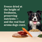 Rehydrated raw dog food mixture in a pet feeding bowl showing texture