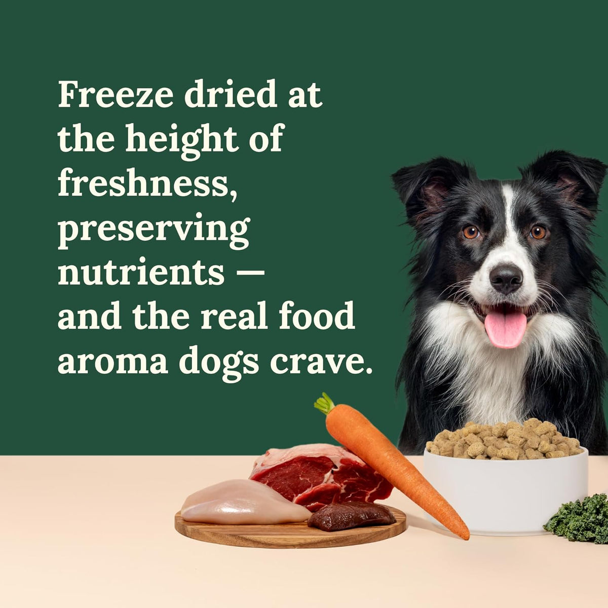 Rehydrated raw dog food mixture in a pet feeding bowl showing texture