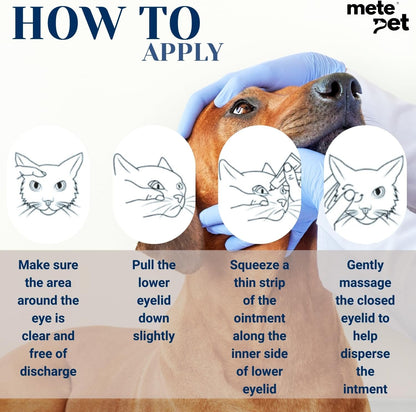 Authentic USA imported Metepet Vetromycin packaging highlighting sterile pet eye formula