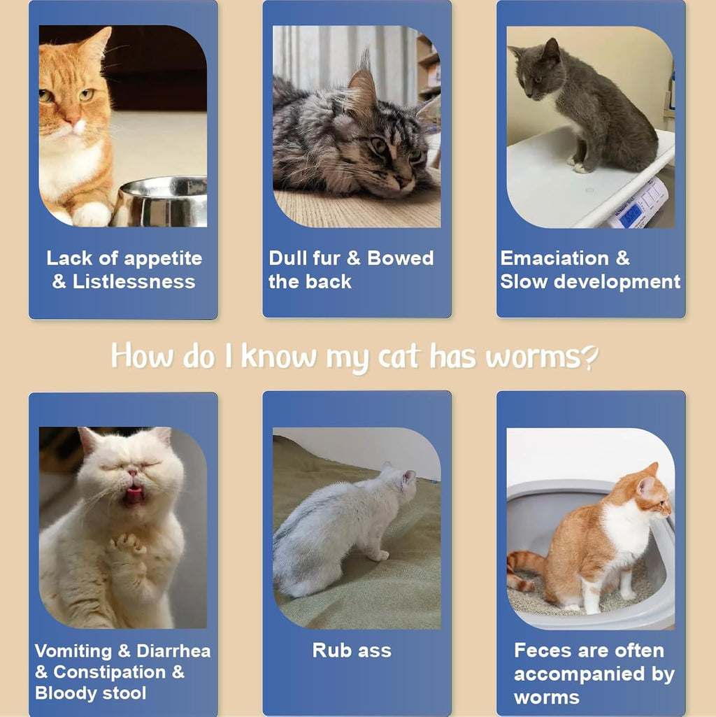 Adjustable safe flea and tick collar for adult cats