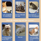 Adjustable safe flea and tick collar for adult cats