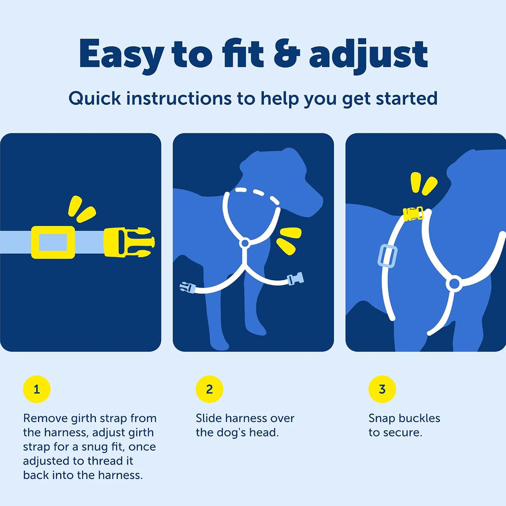 Dog wearing teal PetSafe EasySport harness walking outdoors