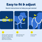 Dog wearing teal PetSafe EasySport harness walking outdoors