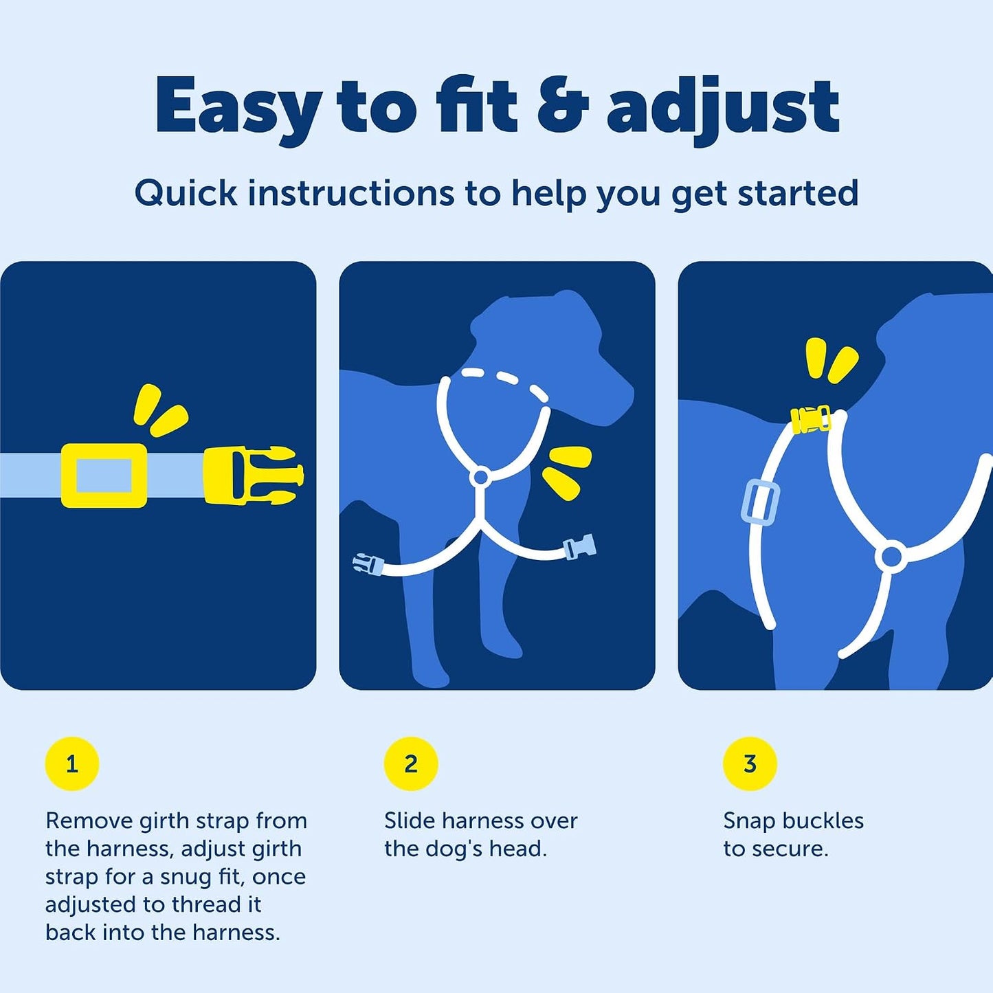 Dog wearing teal PetSafe EasySport harness walking outdoors