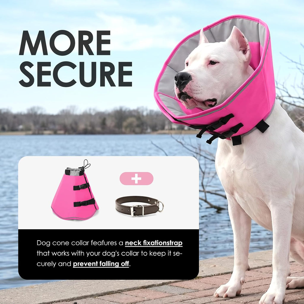 Large dog wearing adjustable AOFITEE recovery cone