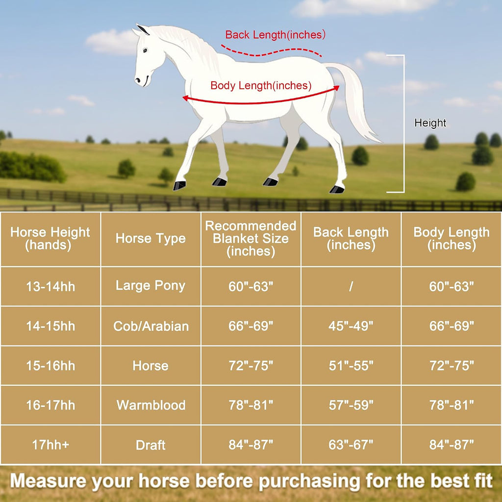 Gallopoff 300g anti-pilling fleece cooler for horses