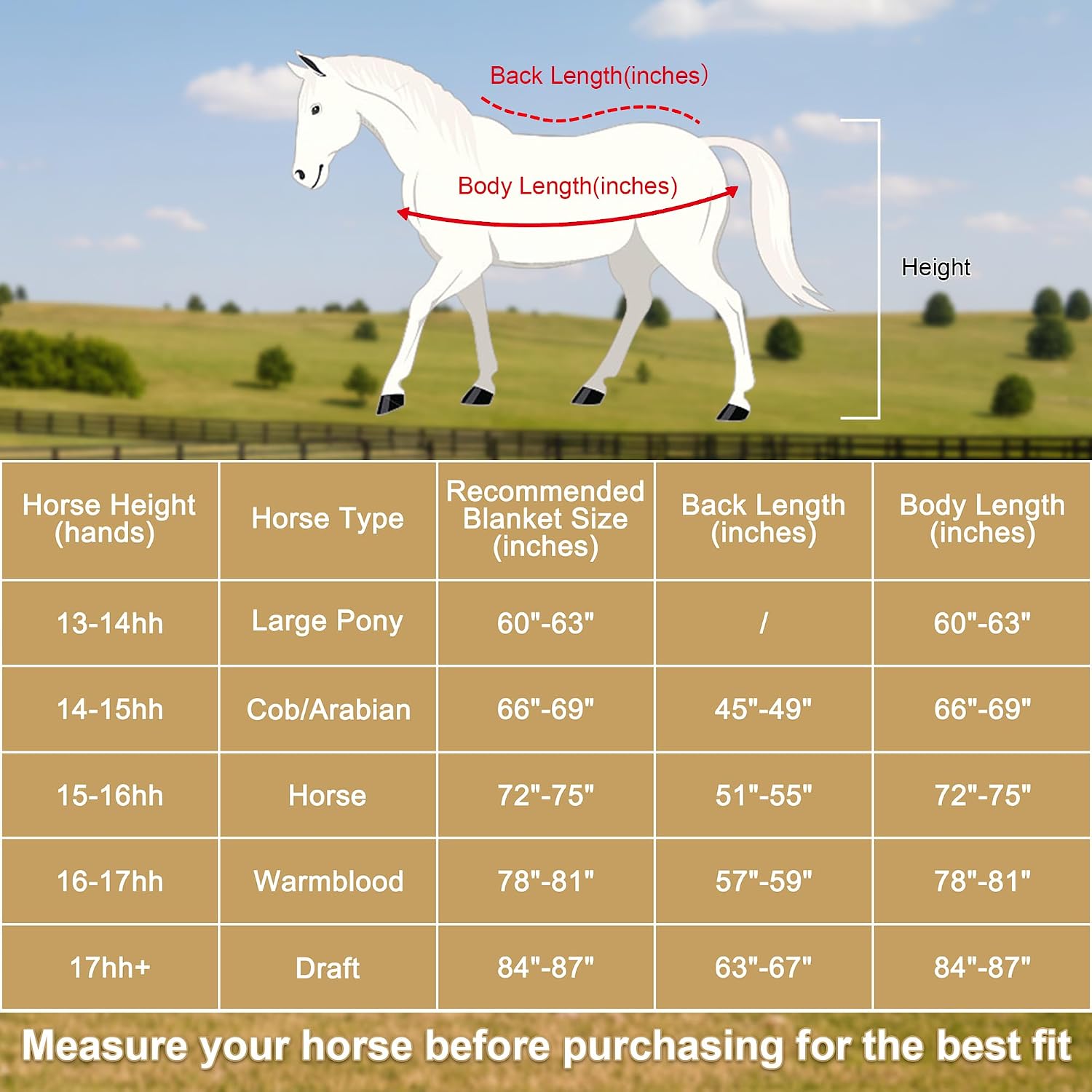 Gallopoff 300g anti-pilling fleece cooler for horses