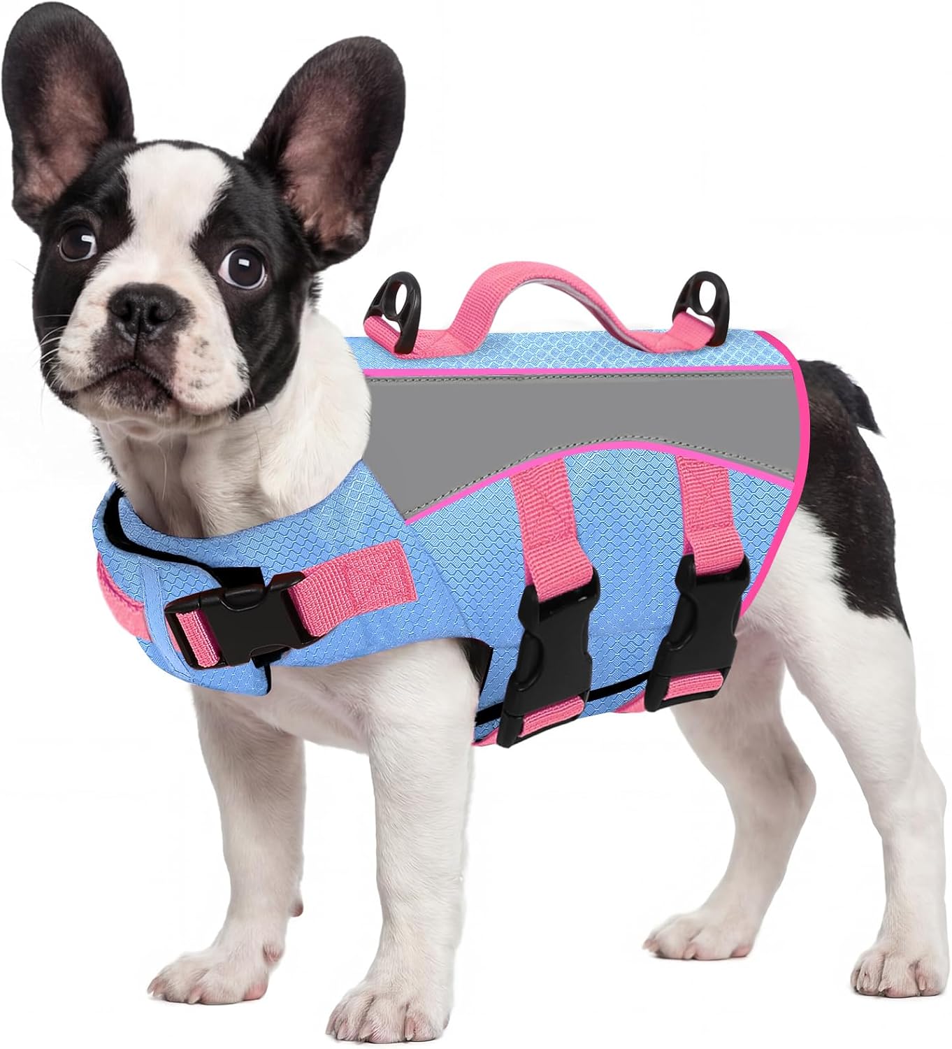 Queenmore Small Dog Life Vest for Swimming with Superior Buoyancy and Rescue Handle, Reflective High Flotation Dog Life Jacket for Spring Summer Pool, Puppy Preserver for Boating, Blue, S - Image 14