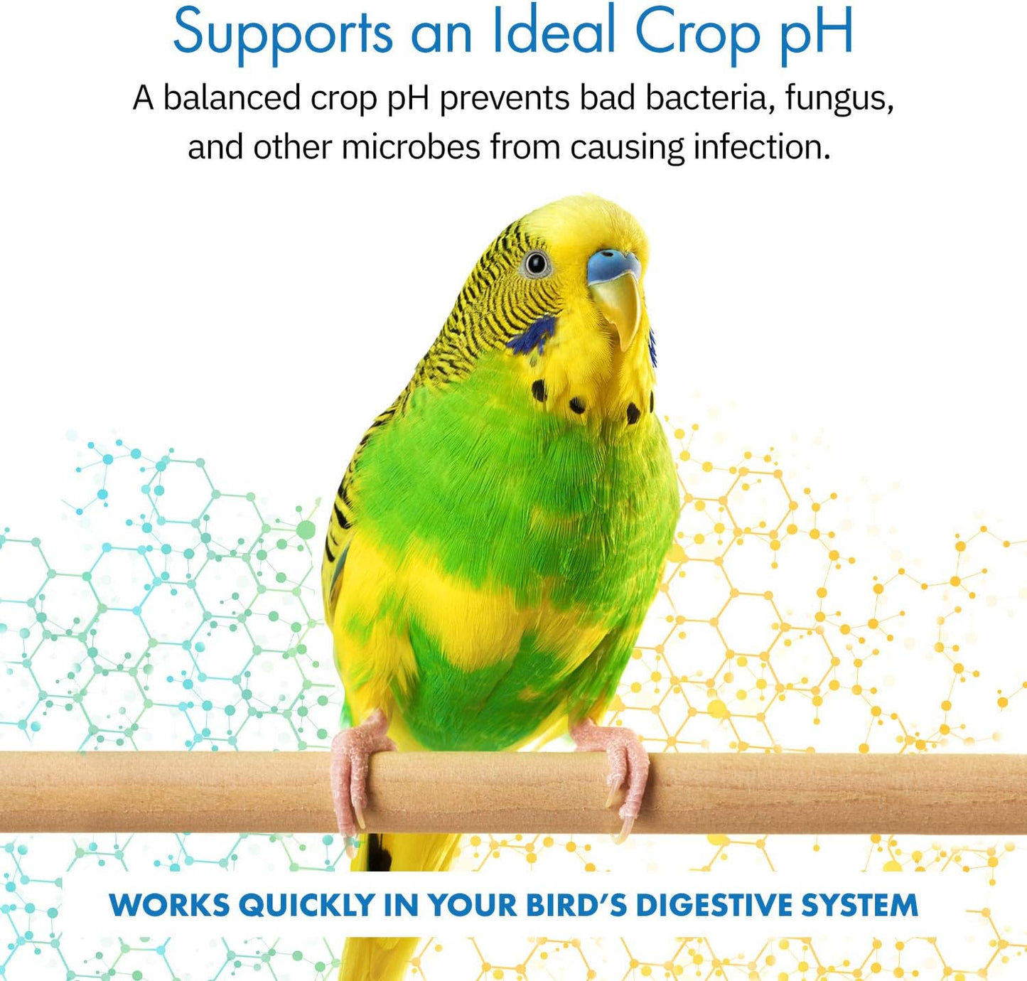 HealthyGut bird dietary supplement showing the one hundred twenty servings label