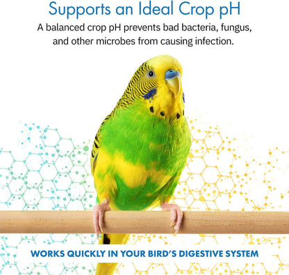 HealthyGut bird dietary supplement showing the one hundred twenty servings label