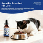 Womrich methylcobalamin cat supplement showing the 1 mL dropper applicator