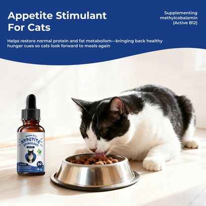 Womrich methylcobalamin cat supplement showing the 1 mL dropper applicator