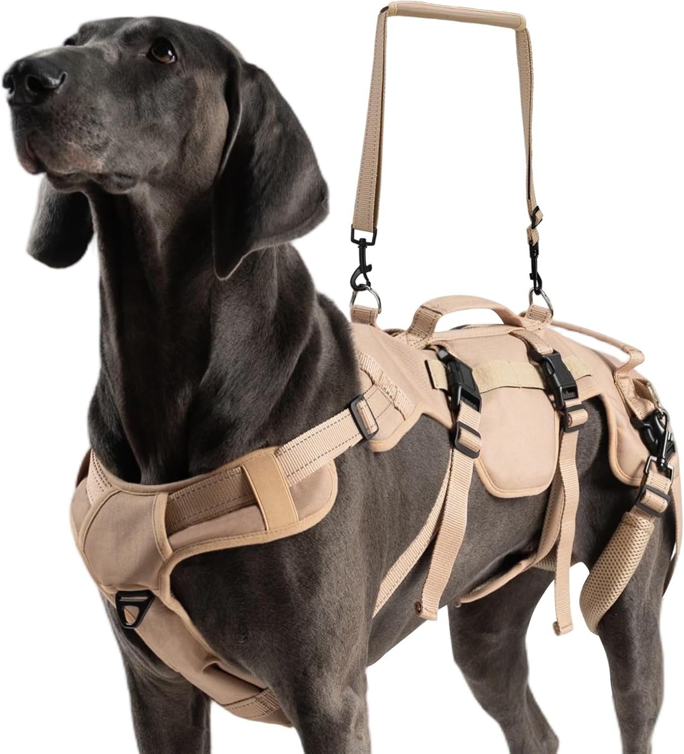 Packaging and included components of Bingpet lift harness