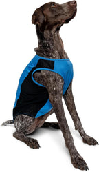 Insect Shield bug protection pet shirt folded flat