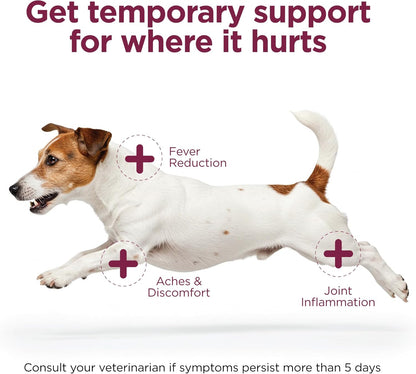 Vetality small to medium dog pain relief tablets container details