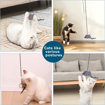 Packaging of the Kalimdor interactive cat feather toy one pack.