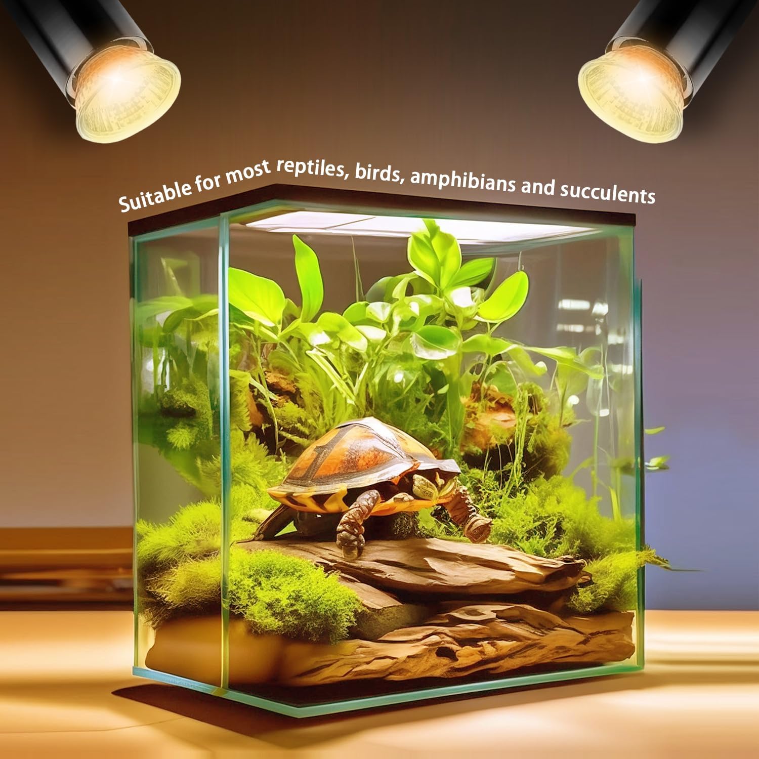 Side view of KOHEOPT 50W tortoise heat lamp showing the durable construction