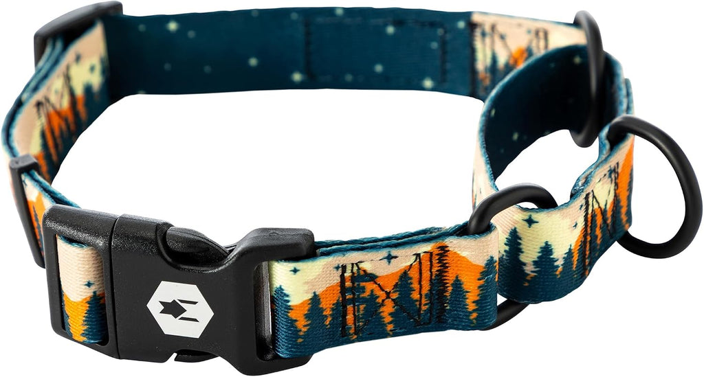 Wolfgang Man and Beast heavy duty martingale dog collar front view in Overland landscape print